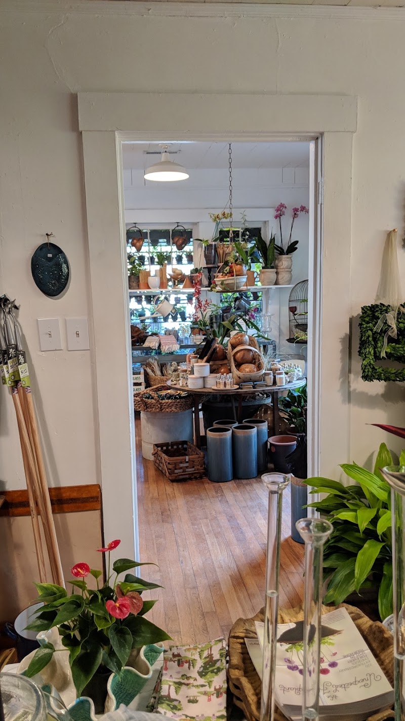 Shoppe